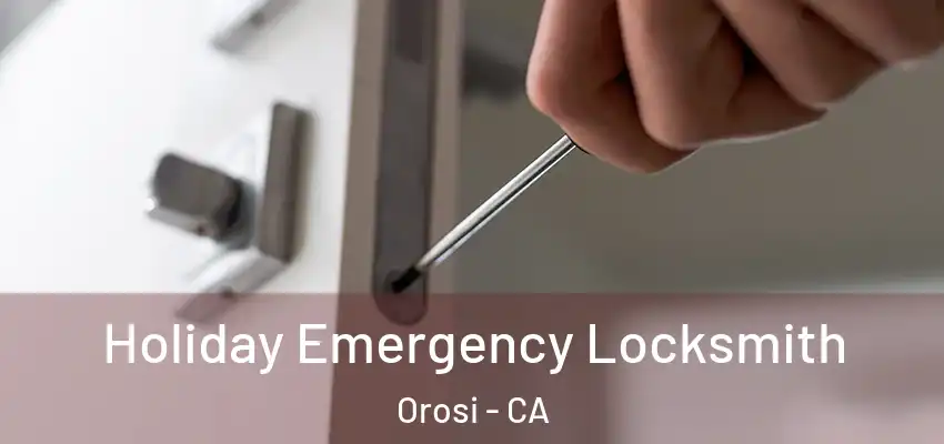  Holiday Emergency Locksmith Orosi - CA