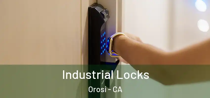  Industrial Locks Orosi - CA