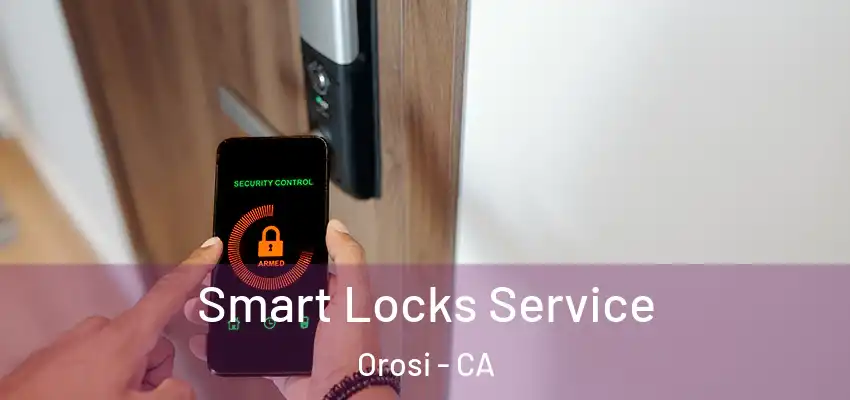  Smart Locks Service Orosi - CA